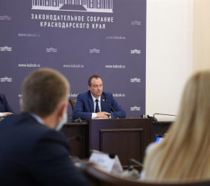Депутаты Кубани обсудили работу краевой службы занятости в условиях новых вызовов